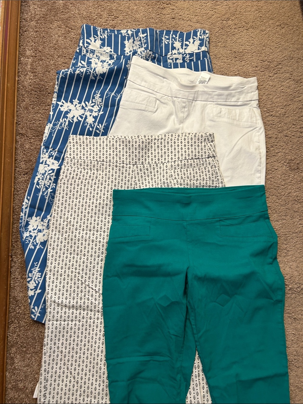 Joe B Teal Cropped Pull-On Pants with White and Blue Patterned Pairings